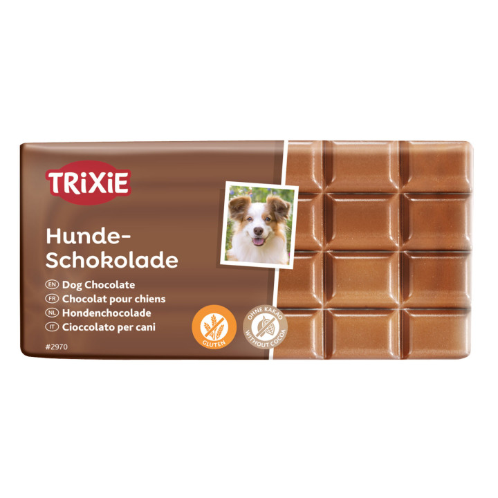 Köpek çikolatası
