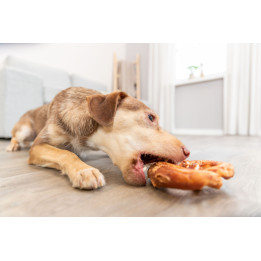 Pretzel with Duck