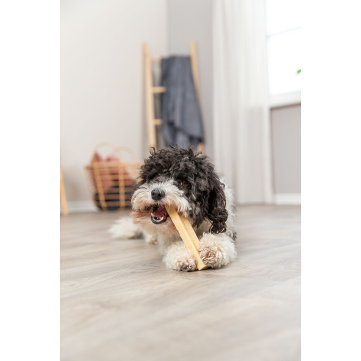 Chewy Cheese