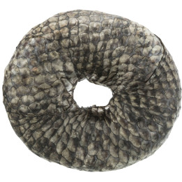 Ring with Whitefish