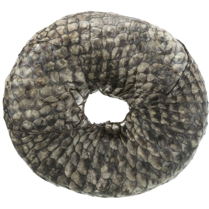 Ring with Whitefish