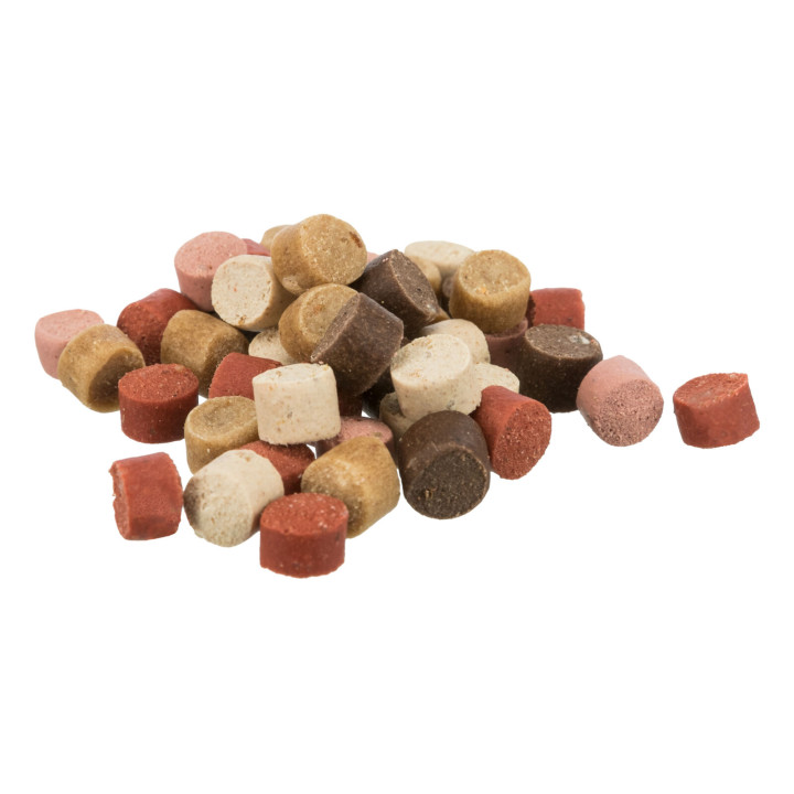 Trainer Snack Dots with Salmon