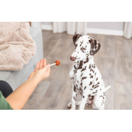 Lolly with cod