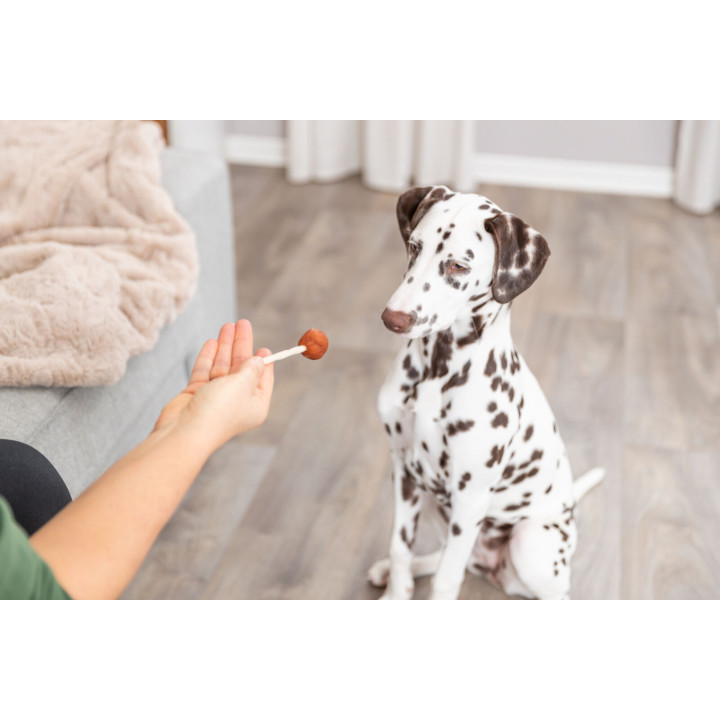 Lolly with cod