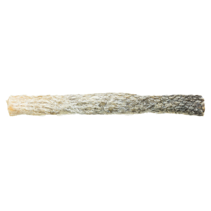 Salmon skin
