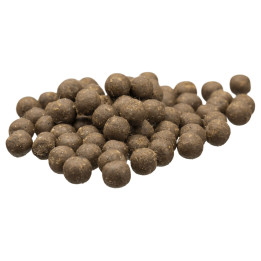 Trainer Snack Balls with Lamb