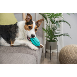 Denta Fun Rugby Ball