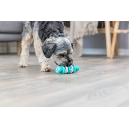 Denta Fun Bone