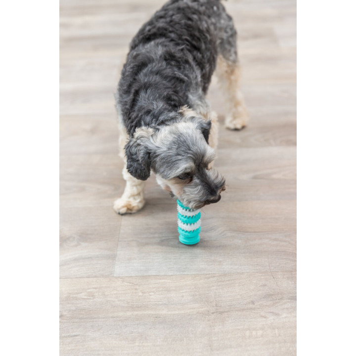 Denta Fun Bone