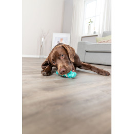 Denta Fun Bone