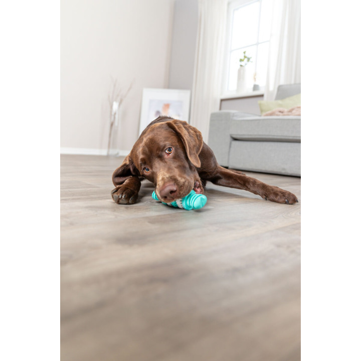 Denta Fun Bone