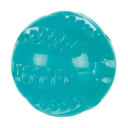Denta Fun Top