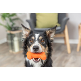 Hışırdayan köpek oyuncağı kemik