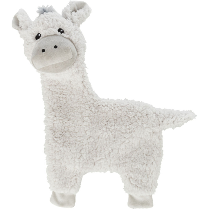 Donkey