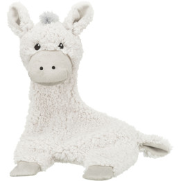 Donkey