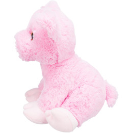Piggy