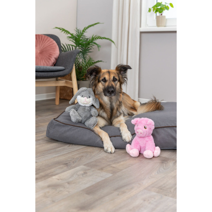 Domuzcuk
