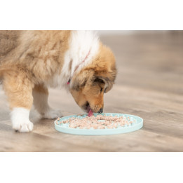 Junior Licking Plate