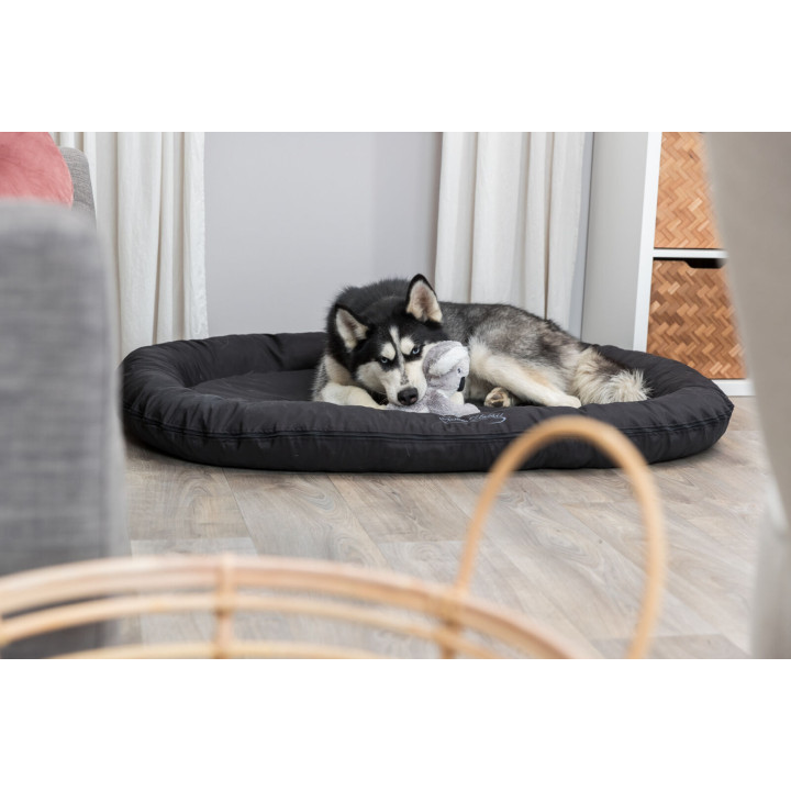 Koala Dog Toy