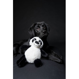 Köpekler için Panda
