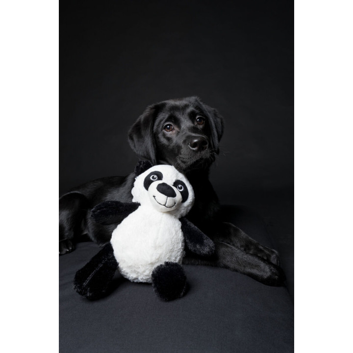 Panda for Dogs