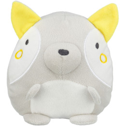 Junior Fox