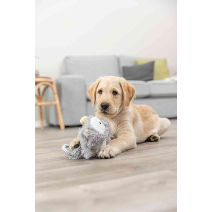 Junior Dangling Toy