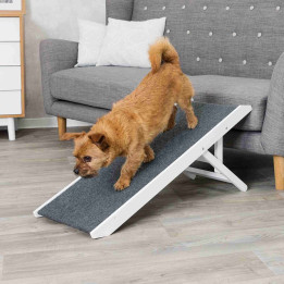 Ramp, adjustable in height