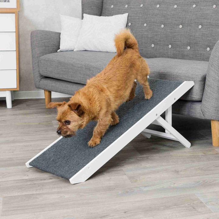 Ramp, adjustable in height