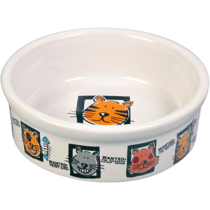 Ceramic Bowl