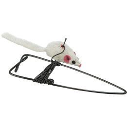 Mouse for Doorframes