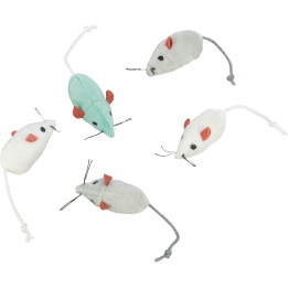 Mouse in display