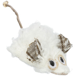 Mouse in display