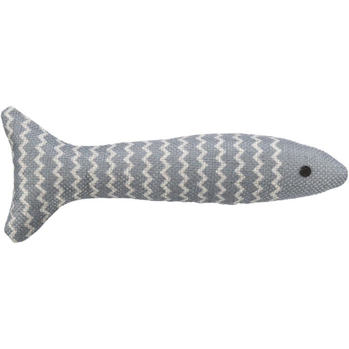 Fish in display