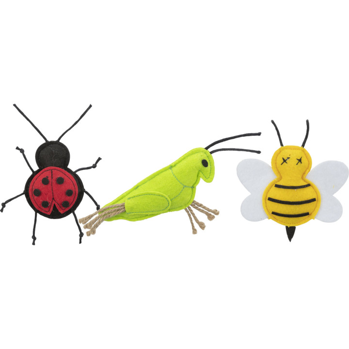Insects in display