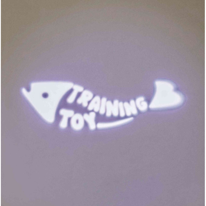 Catch the Light LED Pointer, Fish