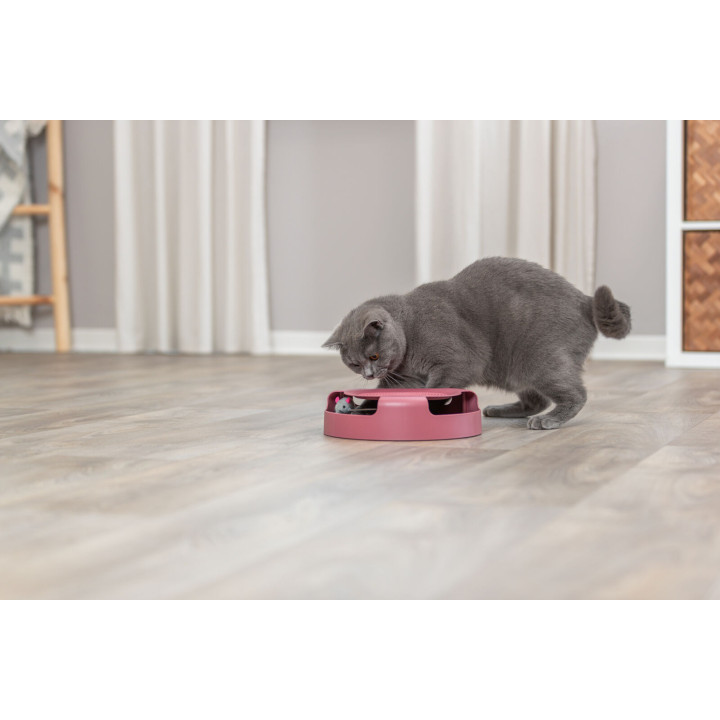 Catch The Mouse