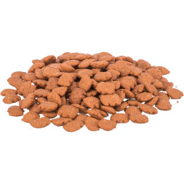 Dentinos with Vitamins