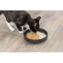 Kittis Shrimp Soup
