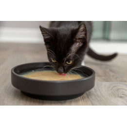 Kittis Shrimp Soup