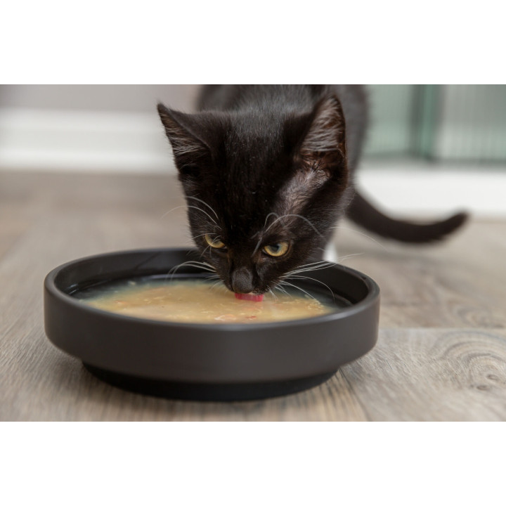 Kittis Shrimp Soup