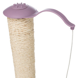 Scratching Post