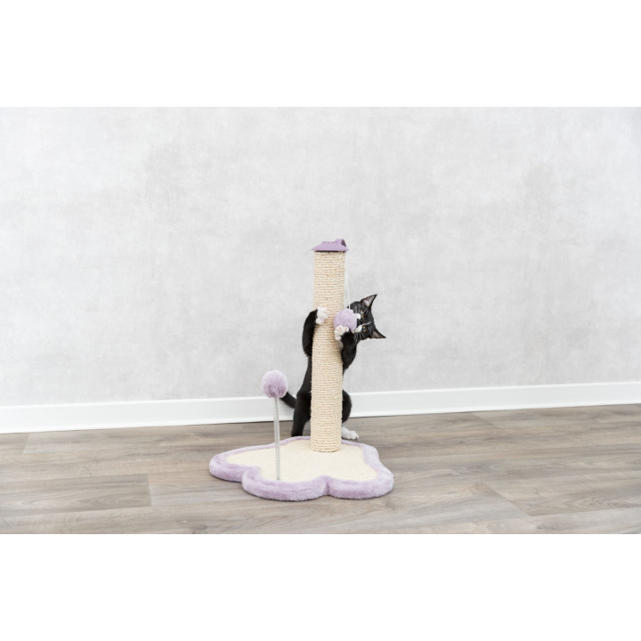 Scratching Post