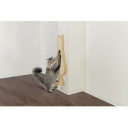 Scratching Board Cat
