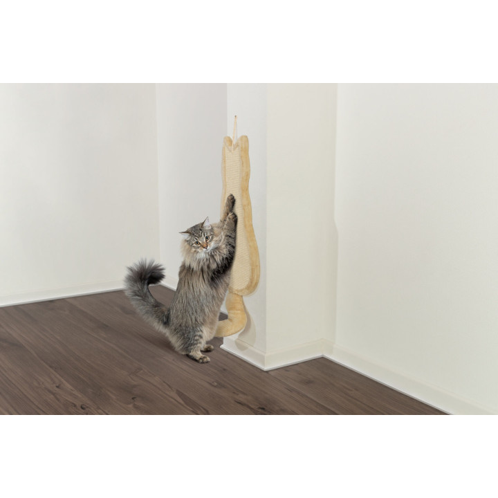 Scratching Board Cat