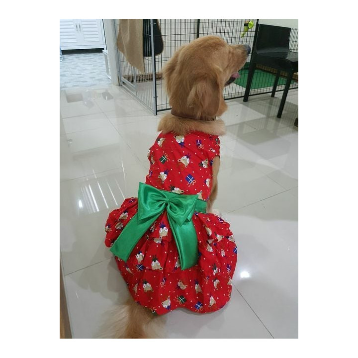 Doggy Dolly Dress