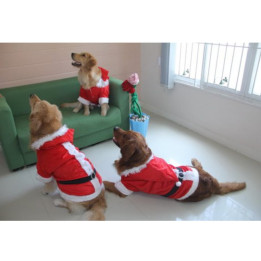 Doggy Dolly Santa boy