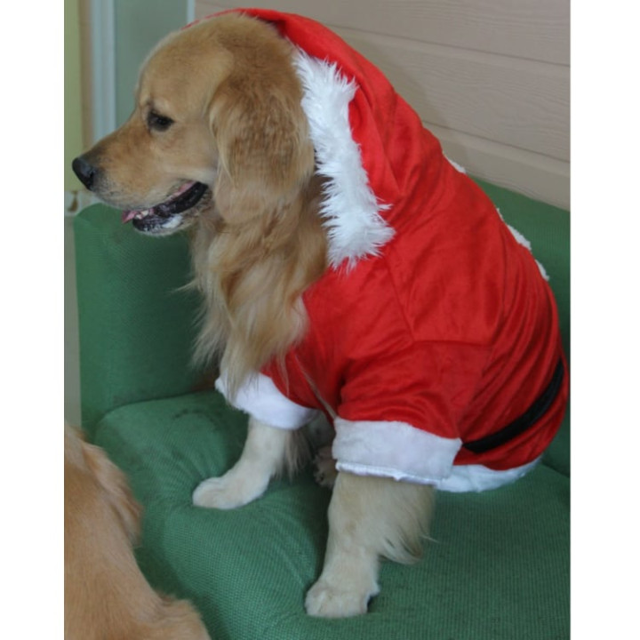 Doggy Dolly Santa boy