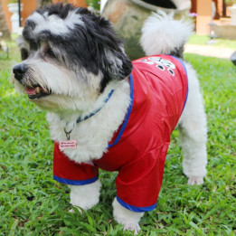 Doggy Dolly Raincoat 2 legs red