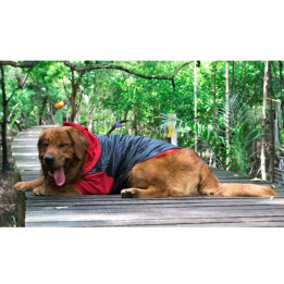 Doggy Dolly Mix 2 legs red
